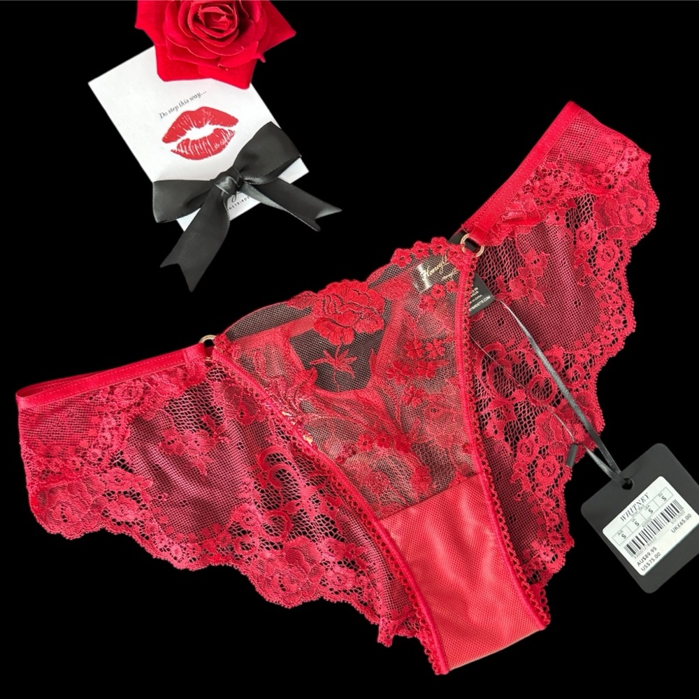 Honey Birdette Whitney red brief S